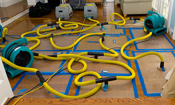 Professional Water Damage Restoration technician working in Swansea, IL